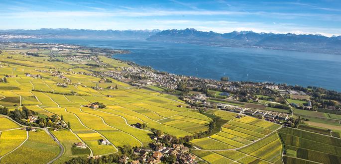 Assises Européennes de la Transition Énergétique - janvier 2018 Grand Genève - L’appel à contributions « programme » lancé le 3 juillet ! Assises Européennes de la Transition Énergétique - janvier 2018 Grand Genève - L’appel à contributions « programme » lancé le 3 juillet !
